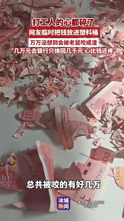 近日，云南昭通，一男子将辛苦打工攒下的几万现金，存在家中的塑料桶里面，不料被老鼠