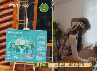 田曦薇王安宇《忙忙碌碌寻宝藏》做任务一人包揽大半任务量，一人佛系随缘完成，田曦薇