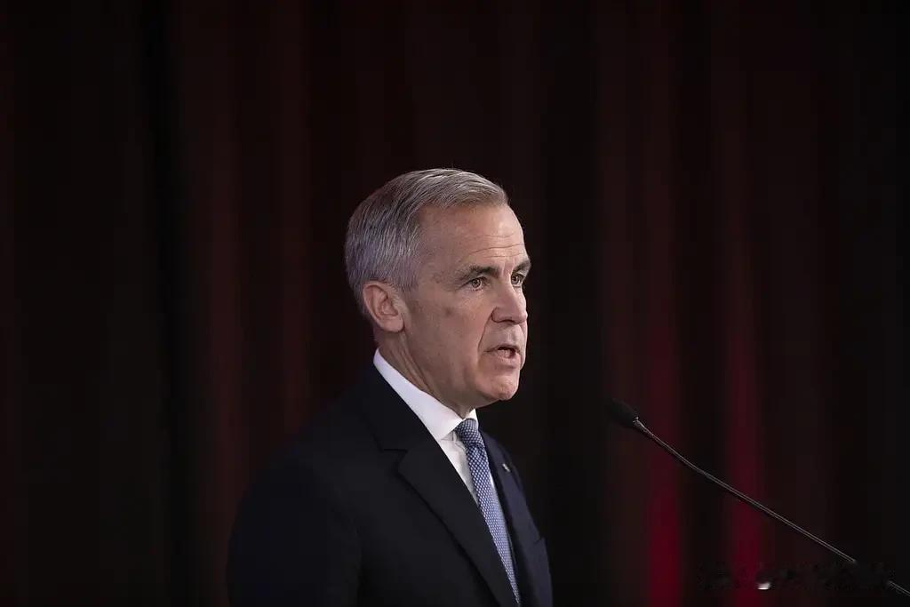 就在刚刚渥太华国会山的议事厅里，加拿大总理卡尼对着话筒说出了一句让整个北美政坛