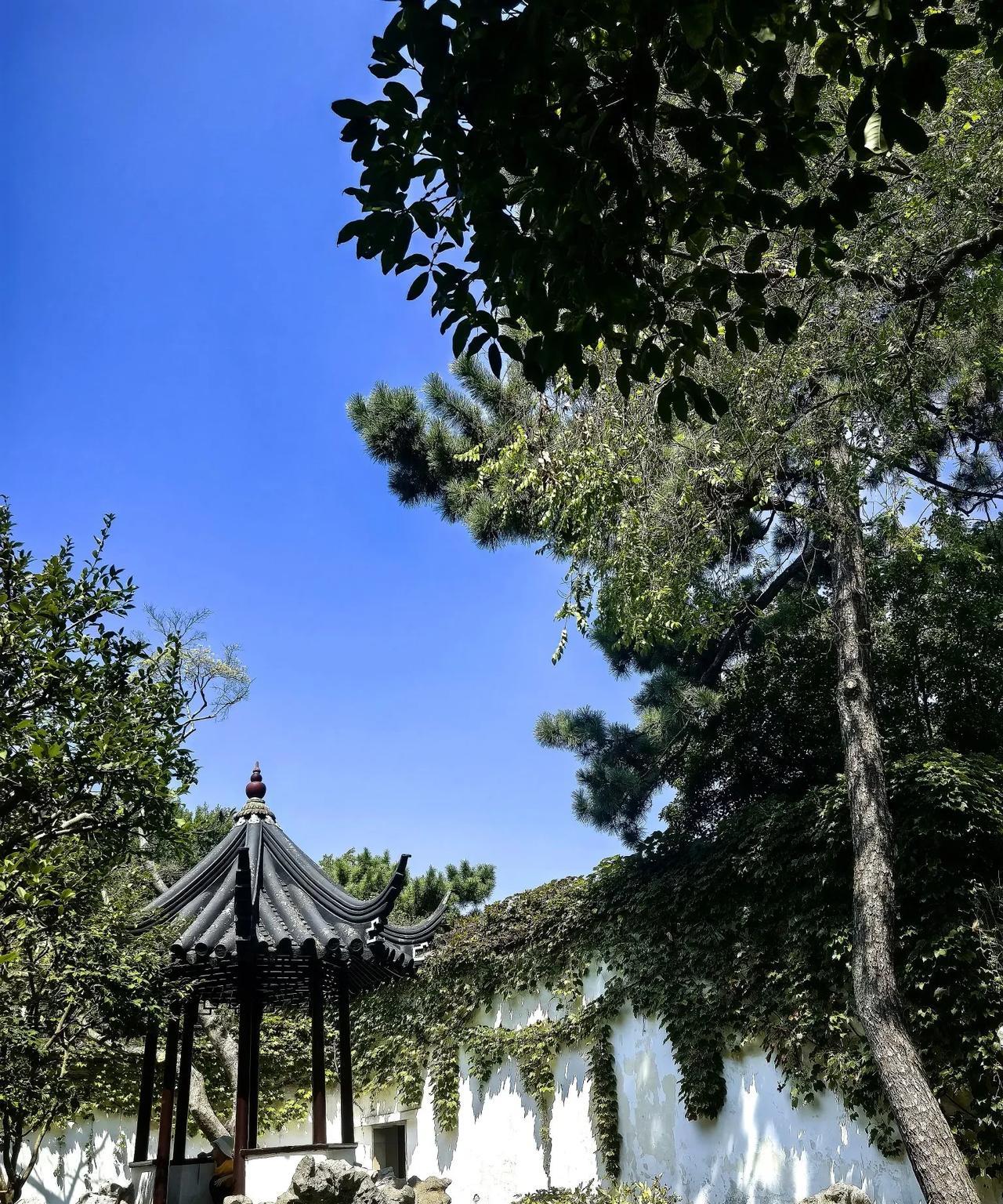 怎样才能减少焦虑？“把生自己的照顾好，把自己生的养育好，就问心无愧，万事大吉。