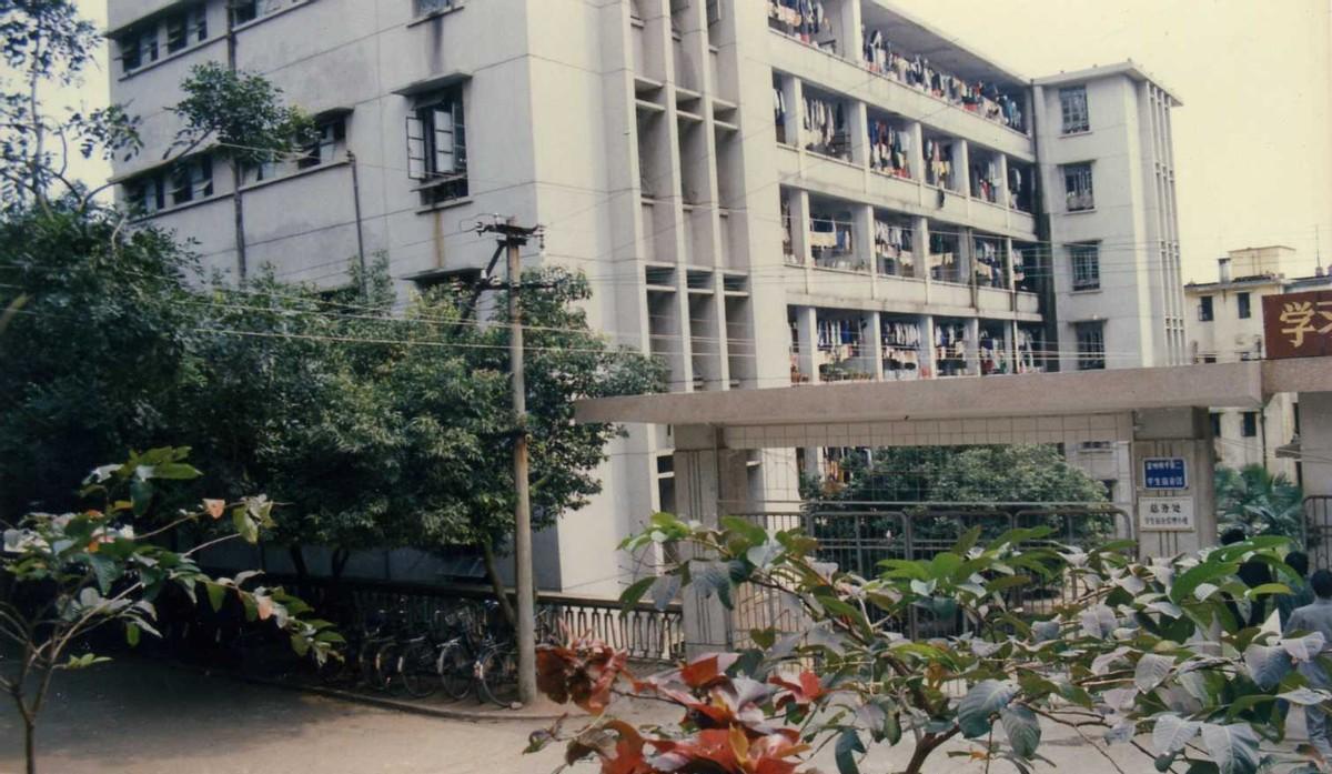 凌晨两点的女生宿舍，玻璃被指甲刮出刺耳声响。小王盯着窗外那个她分手三次的男生