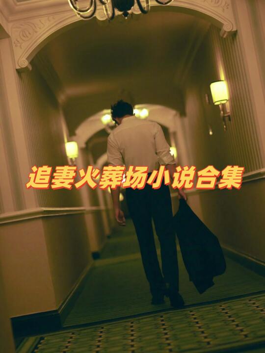 那些值得二刷三刷的追妻火葬场小说！！！
