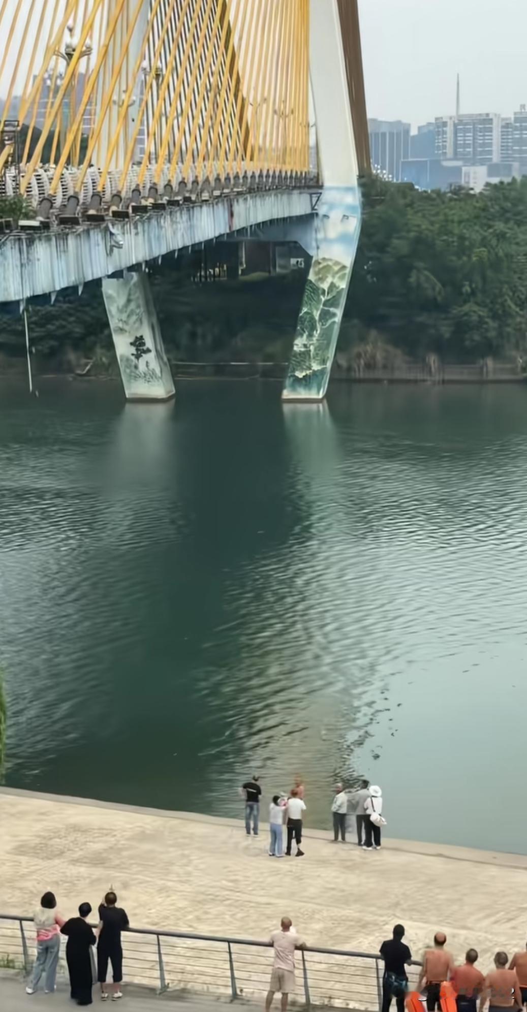 昨天下午南充市三桥上有人跳河，下面全是乱石头，这里水太浅了，围观的人说要拍晕，恐