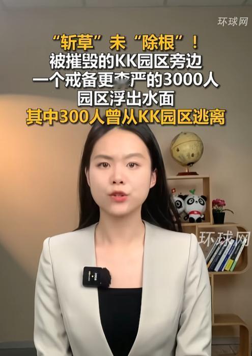 缅甸电诈这波“死灰复燃”的操作，真的让人血压飙升，2025年10月缅甸军方刚把臭