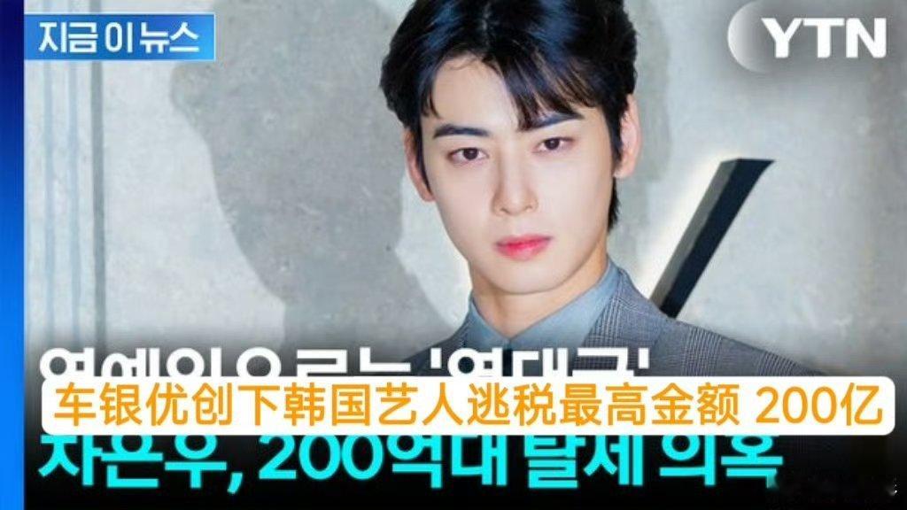 我的天车银优居然是逃税金额最多的嘛？现在还得看车银优怎么回应的，不过说kpop