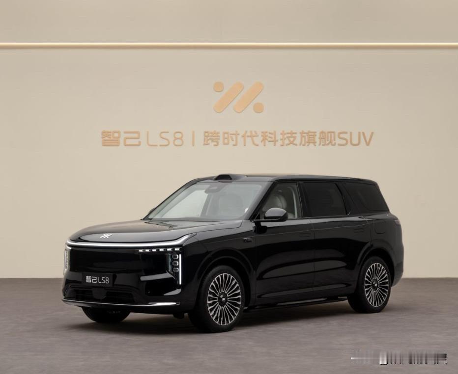 想买车，有25万预算，又想要中大型纯电旗舰SUV，哪款车最合适？答案是：智己