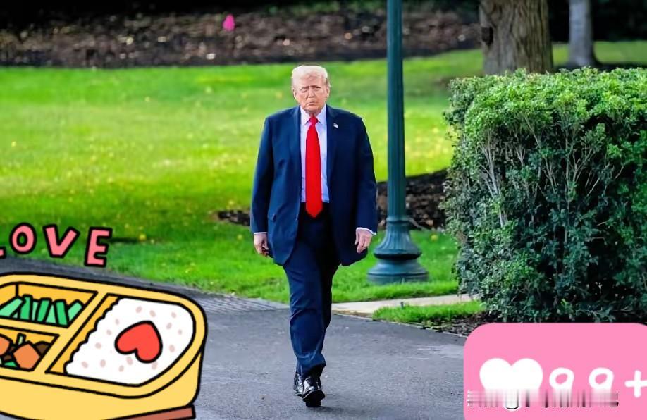 最新!通知特朗普正式宣布10月31日,美国持续施压下,荷兰2025年光刻机出