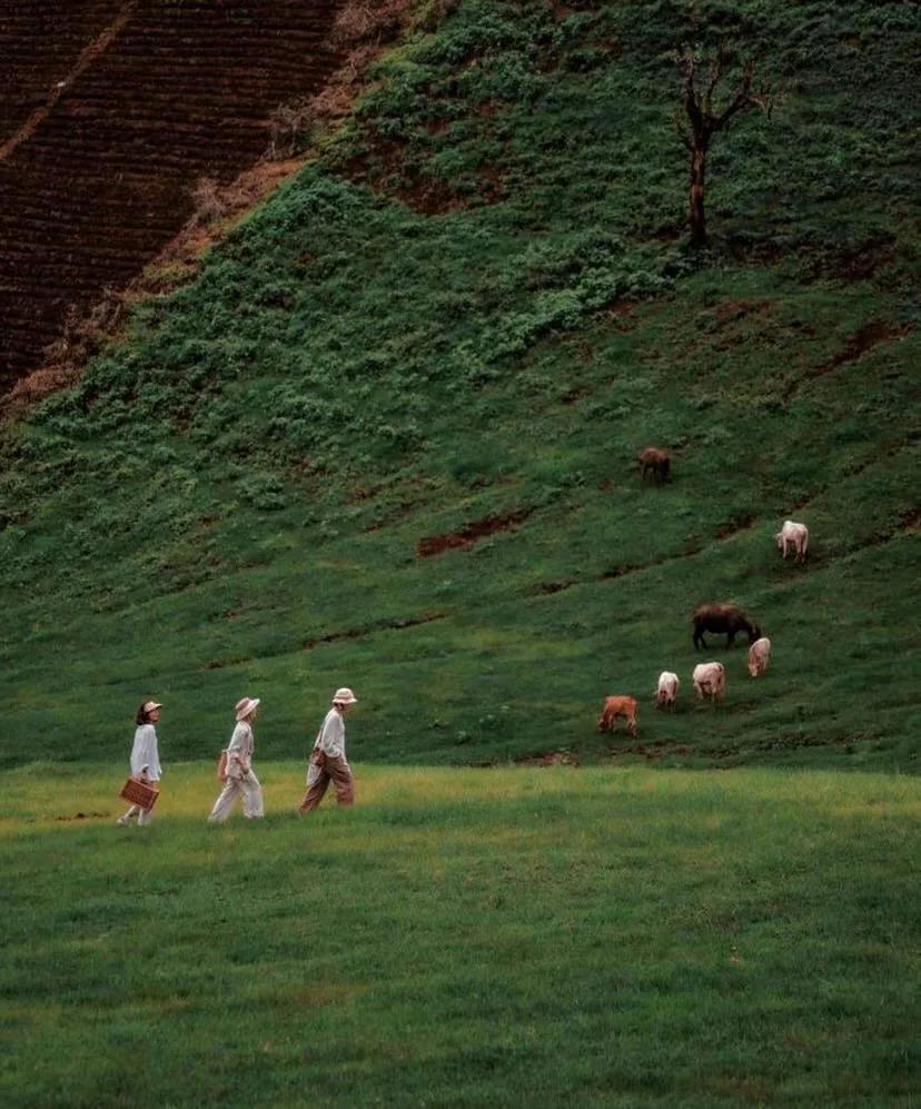 和任何人走得太近都是一种灾难。人生如尺，必须有度。最好的关系是：亲疏有度，相看不