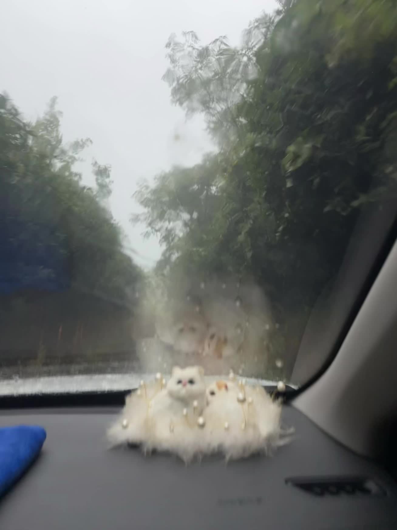 人算结果  天算因果