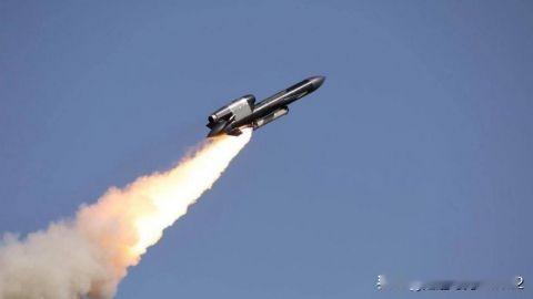 乌克兰军方接收一批“火烈鸟”巡航导弹的新照片乌克兰防御者接收另一批火烈鸟巡