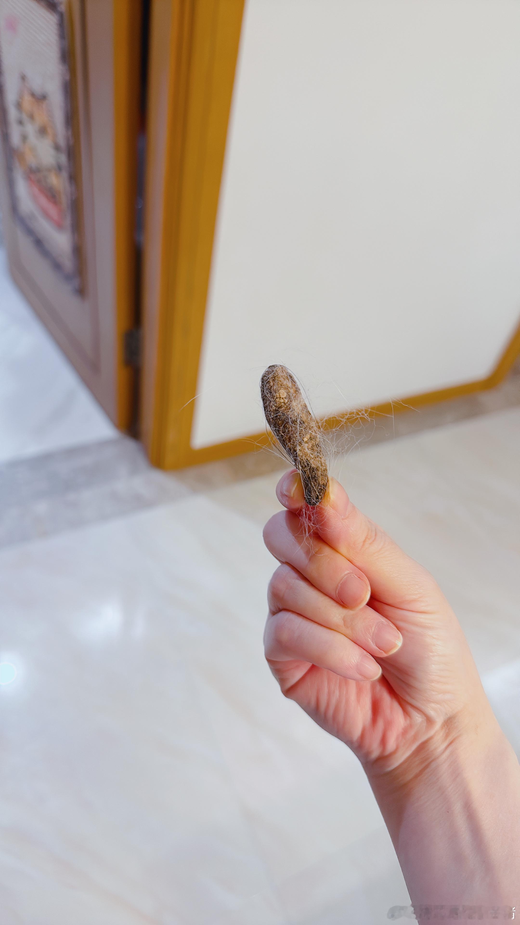 分享大便古化石​​​