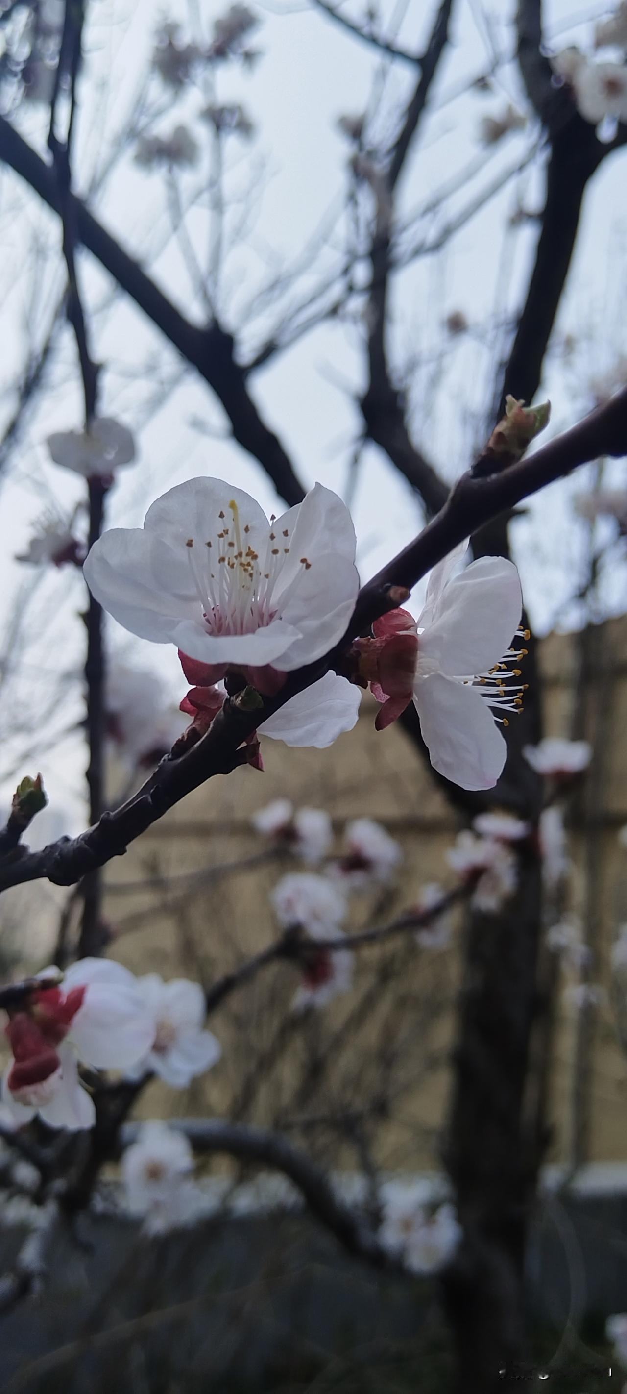 家长在孩子身上投射了什么，很快就能得到什么。最近听孩子说了他们班上的两个同学的