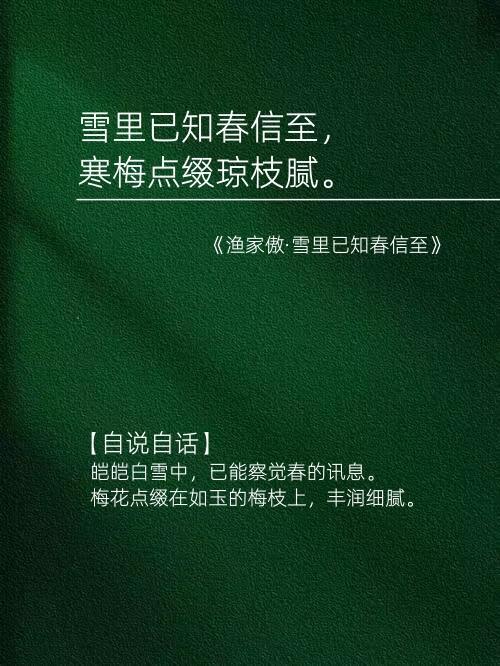 李清照词中，梅与雪的浪漫冬天