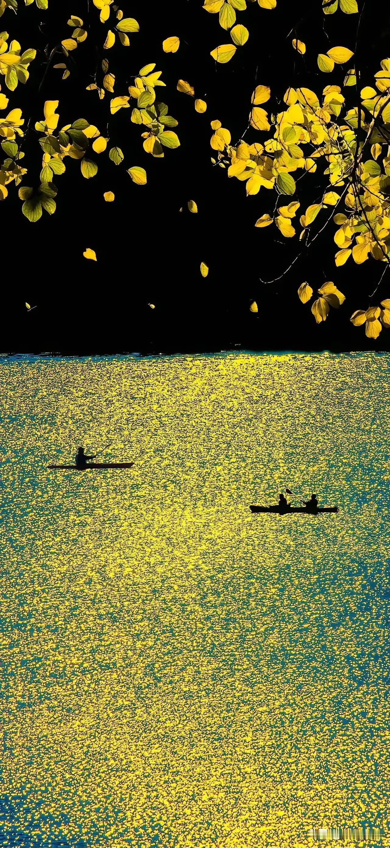 苏州人祖辈世世代代流传着一个传说，明末亡国灭种之时，江南各学院，将各种典籍汇聚太