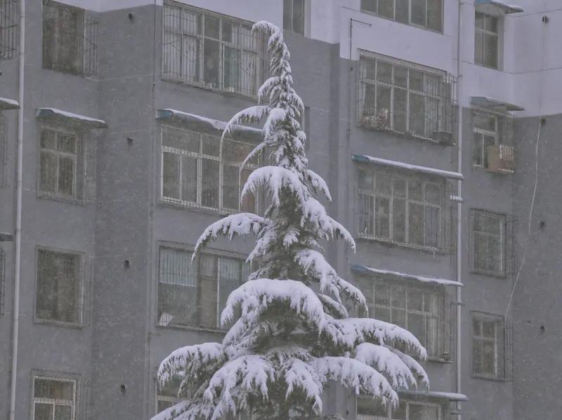 心凉！这亲情，我高估了我真是高估了亲情。我妈走后，我爸再婚。我结婚，他一毛嫁