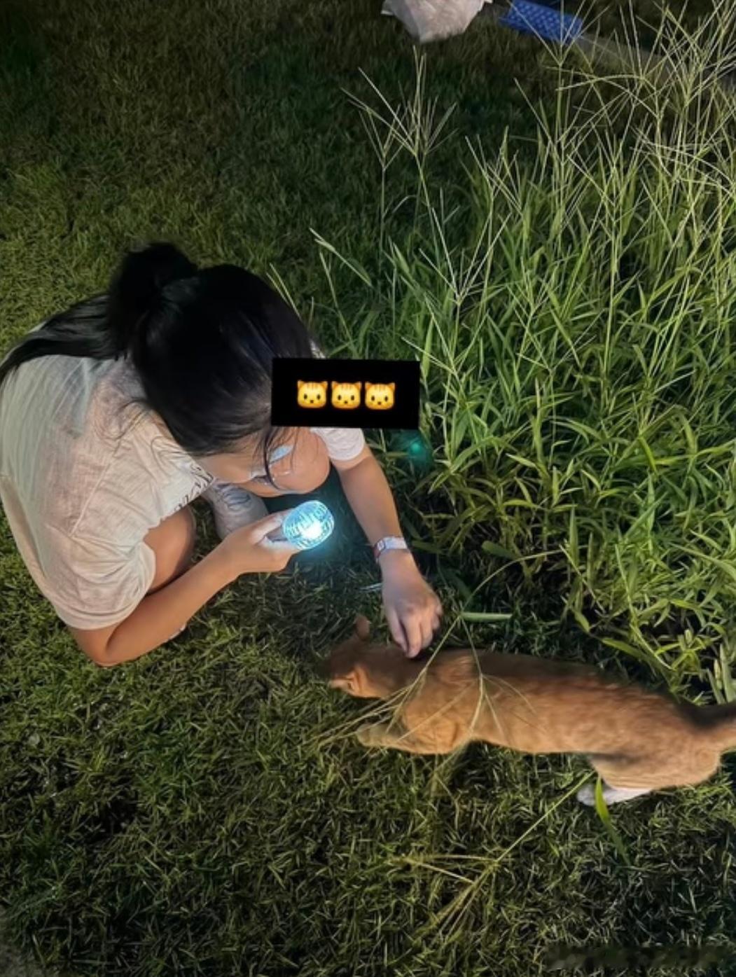 和小猫咪玩耍的申裕斌🐱