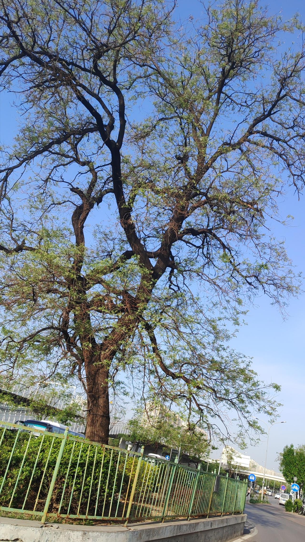 职场中，感恩是一种智慧。小故事：部门经理老李每次项目成功后，都会公开感谢团队