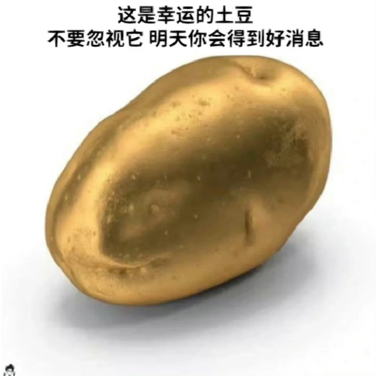土豆玄学
