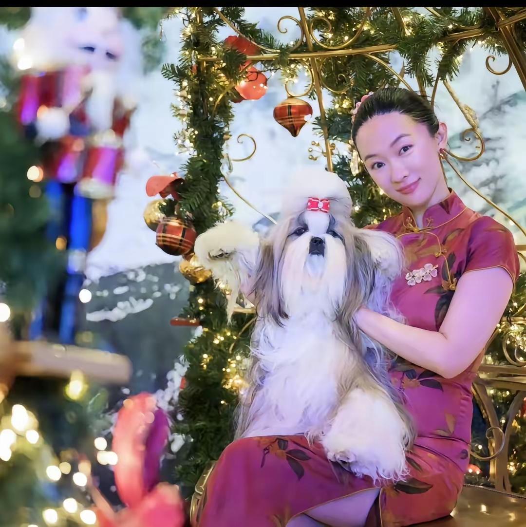 现在最佩服的就是霍思燕了​自家狗狗夺冠后刚到手的15万欧元还没有捂热乎，就转手