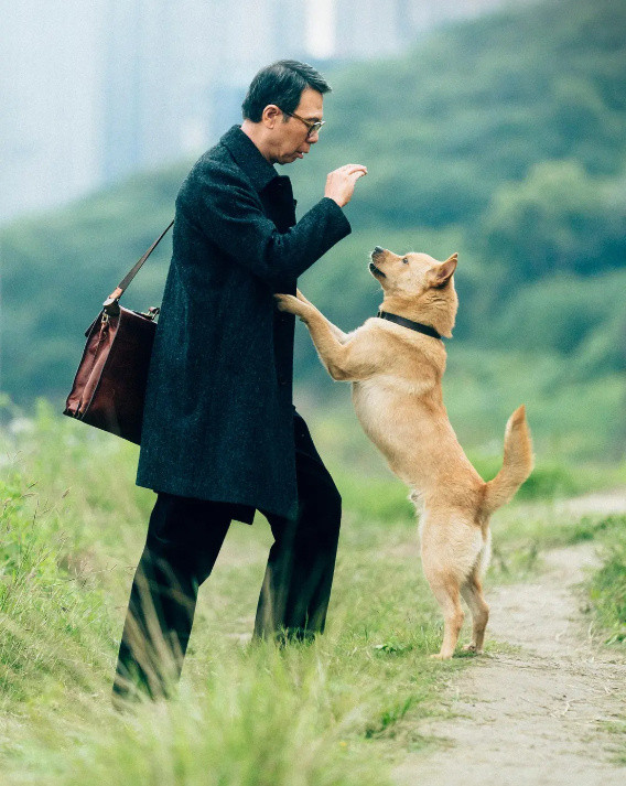 “能活在自己的喜欢里，那才叫活着。”——《忠犬八公》