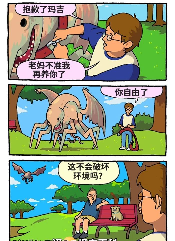 漫画梗图：老妈不准养！漫画梗图