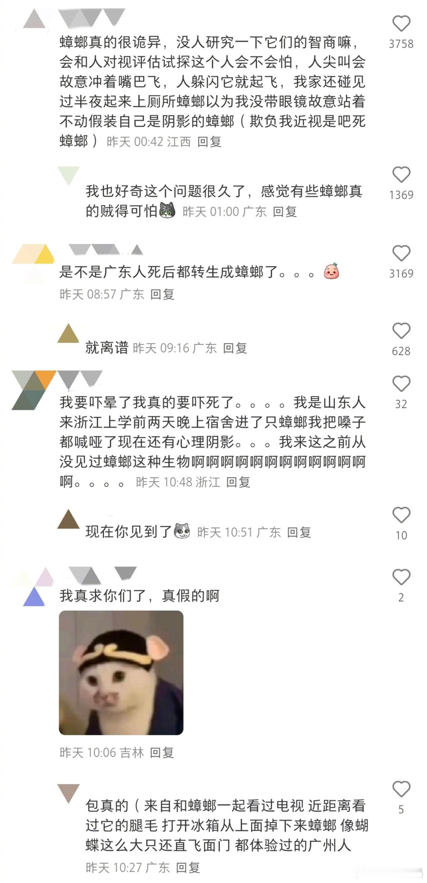 欢迎来到广东，我娇贵的小公主​​​