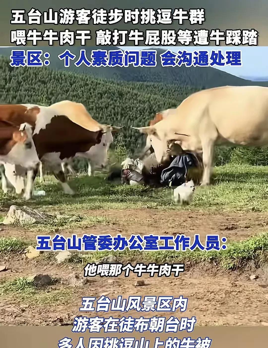 牛：喂我吃牛肉干，还用棍子戳我屁股，这是人干的事儿吗？果然人不能吃太饱。我是真的