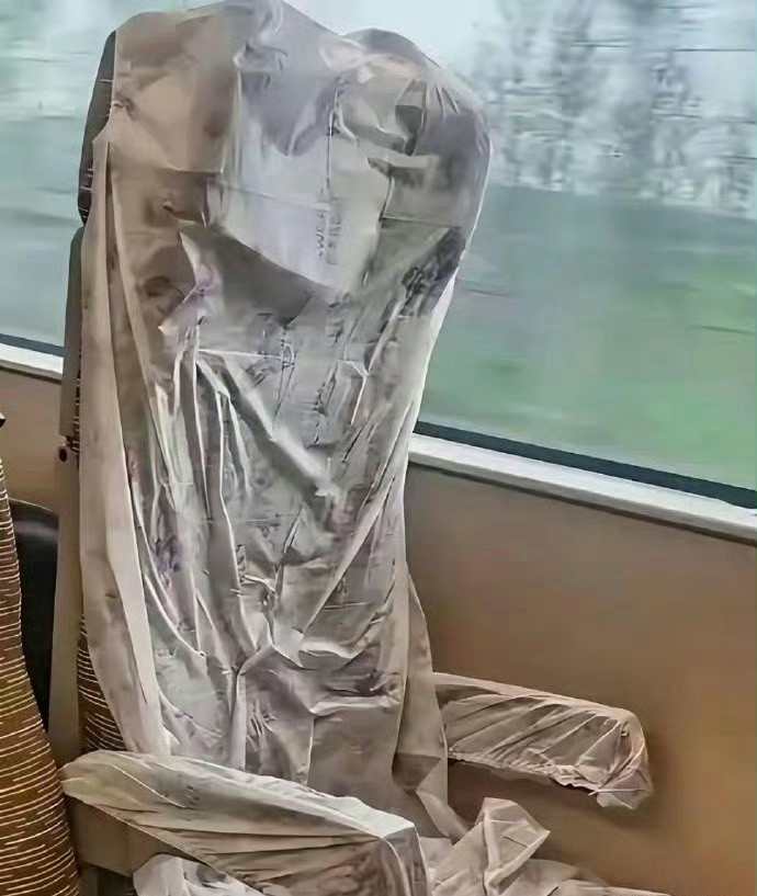 有严重洁癖的我每次坐高铁只能这样了，无奈