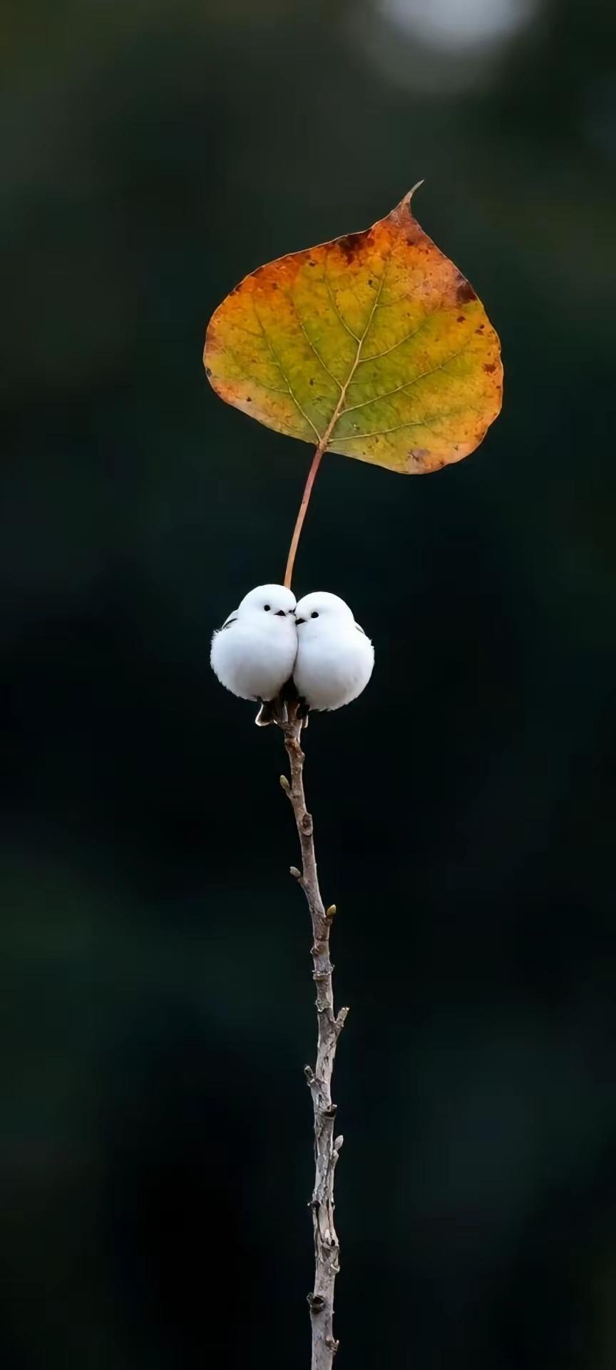 中医治病总纲口诀治火先存阴，阴存火自熄。治风先治血，血行风自灭。治水先行气，气行