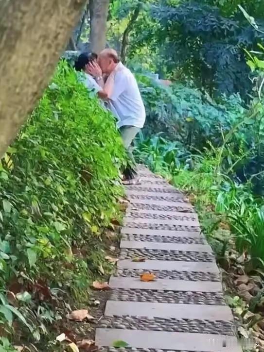 这年头，爷爷奶奶都脱单了，年轻人还不抓紧吗？你瞅瞅公园角落里，大爷大妈比年轻