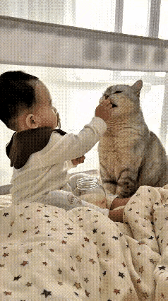 不知道大家有没有见过这般治愈的画面。小宝宝与小猫并排坐在床上，孩子伸手掏出罐子里