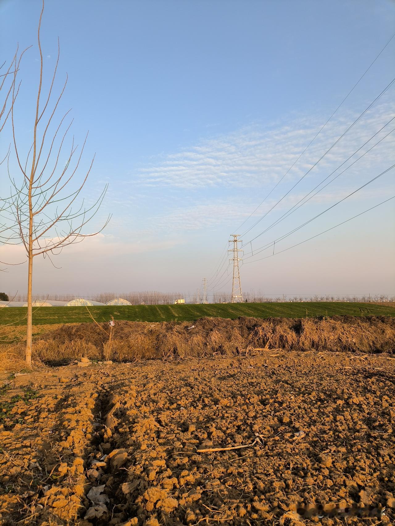 烧毁秸秆真的对土地更好吗?农民都清楚，燃烧秸秆不仅有利于下茬作物耕种，秸秆灰更