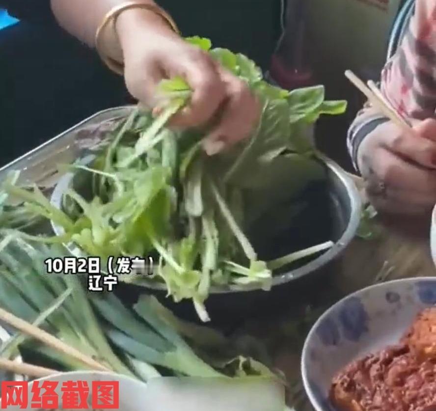 辽宁有南方女婿来东北老婆家过节。此刻女婿本以为还可以吃点东北特色菜，让他没有