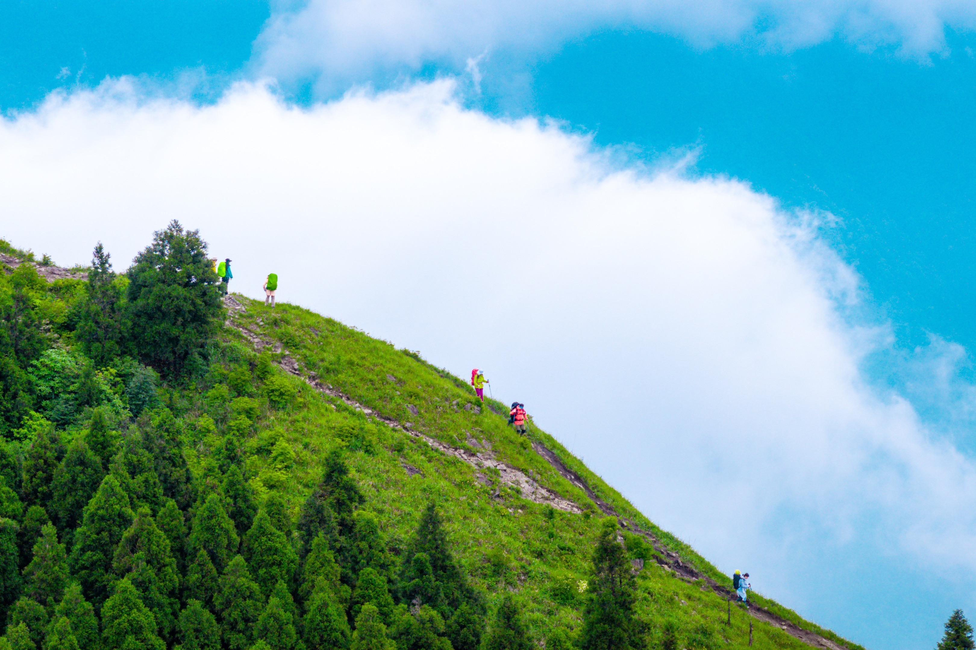 武功山草木界，不一样的武功山美景…