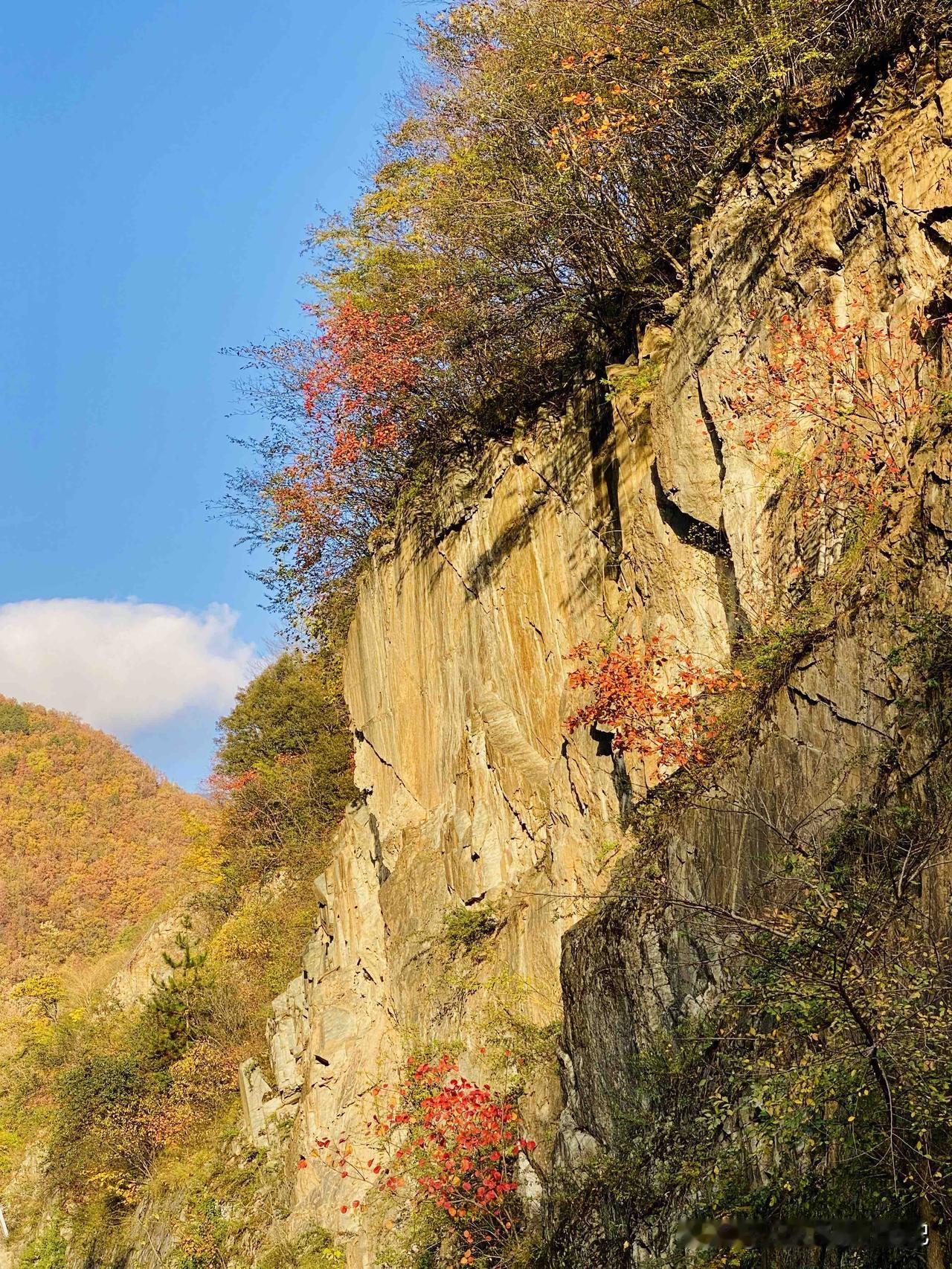 当真是何其有幸，能得天公此般眷顾？！在留坝的几天时日，始终都是阴雨绵绵，虽说