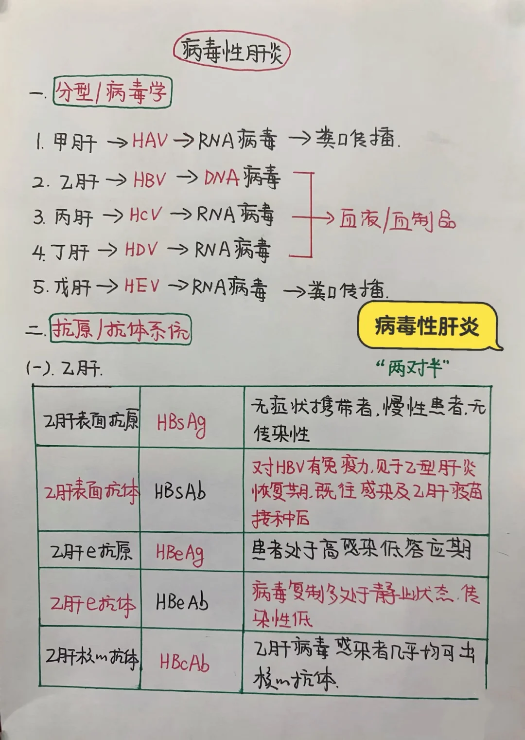 今日学习打卡——病毒性肝炎