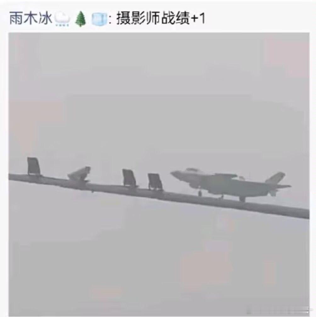 加什么鸡腿？给我加大肘子！