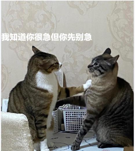 【老羊说楼市】跌跌跌跌跌......西安7月份的房价继下跌，想买房的别着急。西