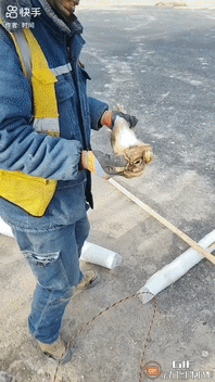 一位大叔工作时意外逮到一只野兔，这野兔又肥又壮。大叔欣喜若狂，打算带回家，晚上尝