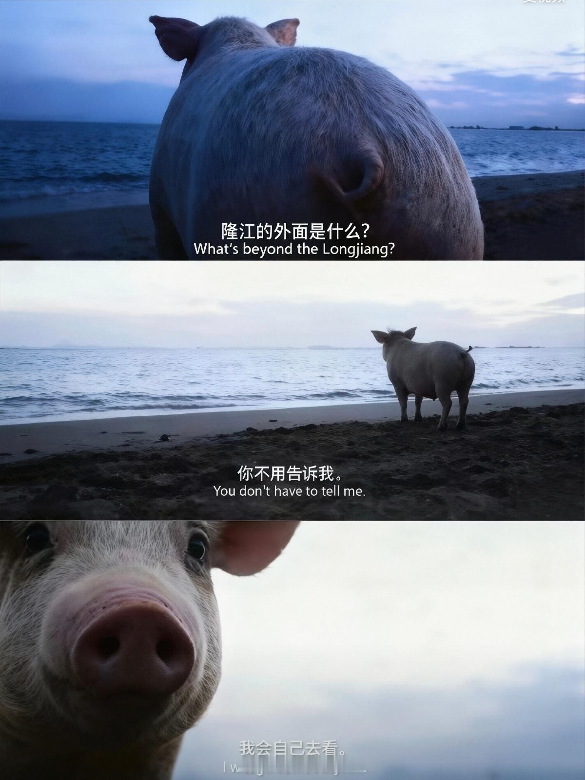 来了深圳就知道了，隆江美食，哈哈。深圳