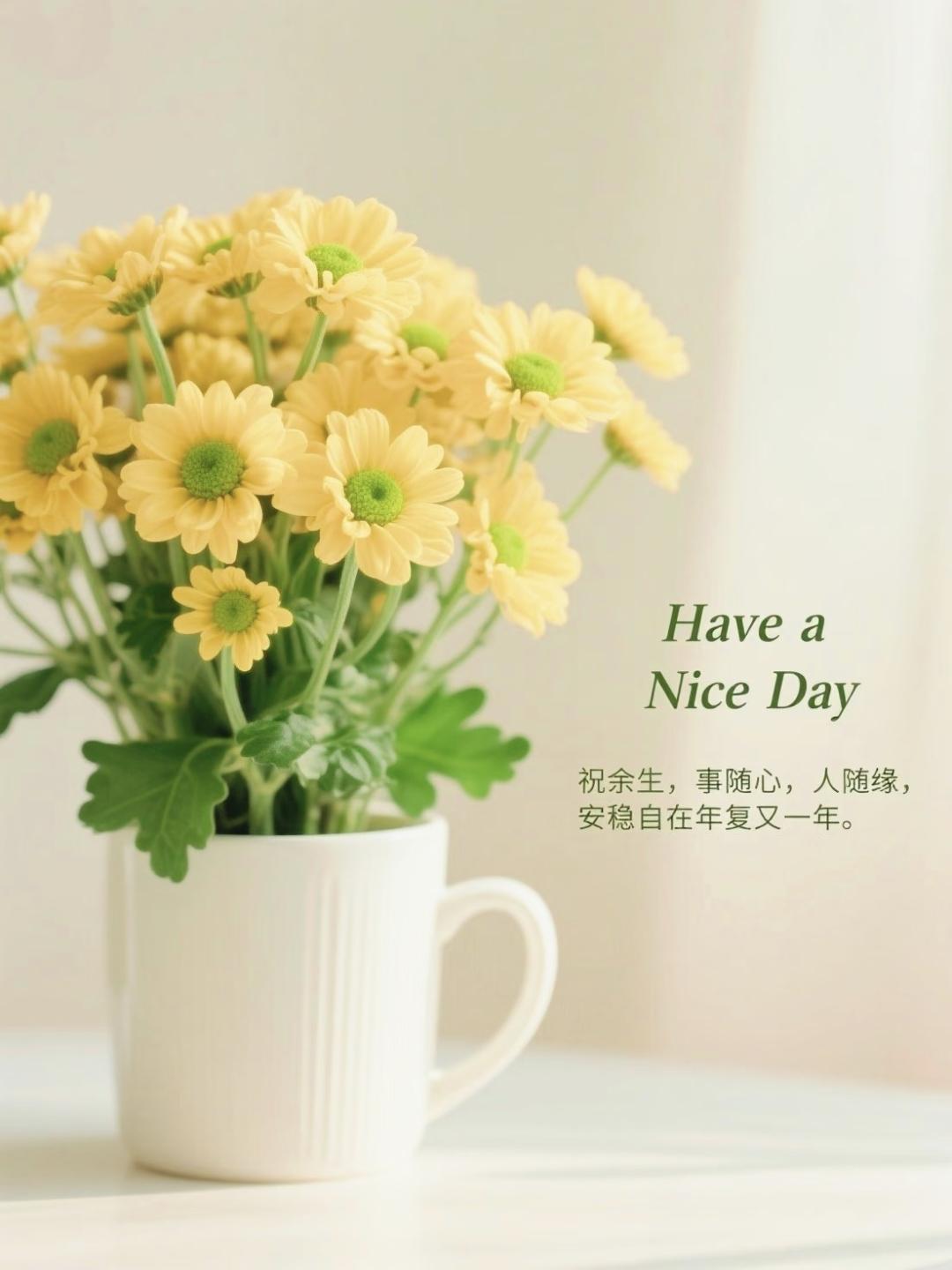很通透的一段话:不要再和任何人生气了，搭上了自己的健康和快乐，倒不如慢慢放下一