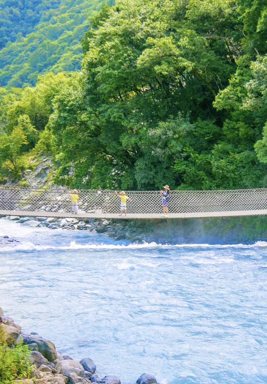 川渝周边的20℃夏日避暑秘境🌲绿野仙踪