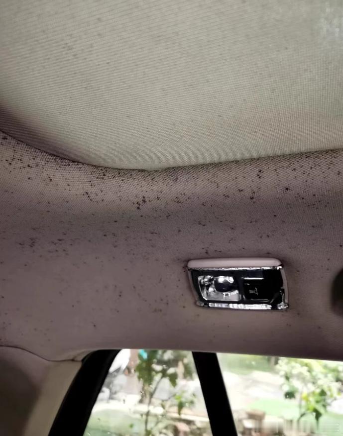 梅雨季的车，缺乏通风性，真的会发霉[捂脸哭]​​​