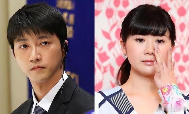 福原爱离婚原因曝光,出轨只是导火索,真正原因吓人一跳福原爱和江宏杰的离婚官司