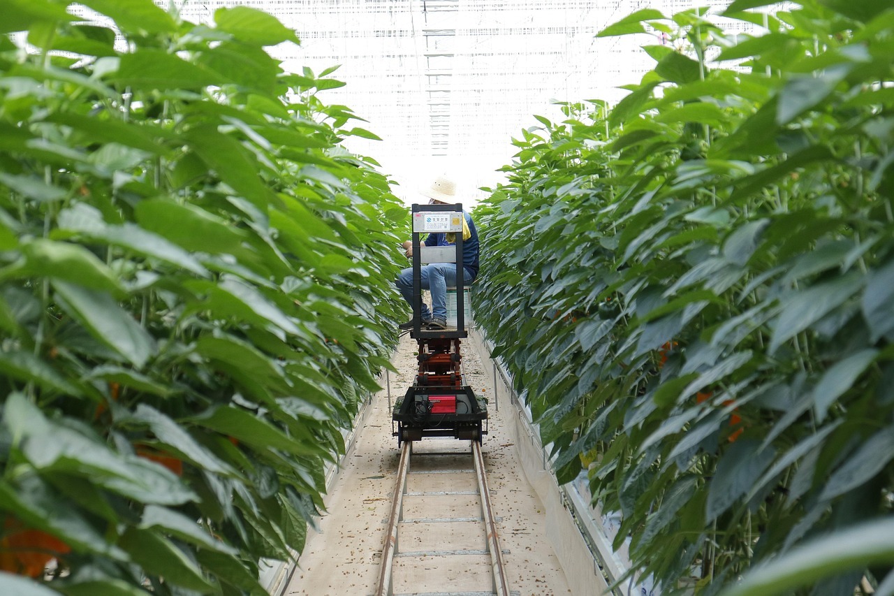 光算力训练就烧掉近80亿，华为乾崑智驾今年研发砸了190亿。这笔账算得很实在：年