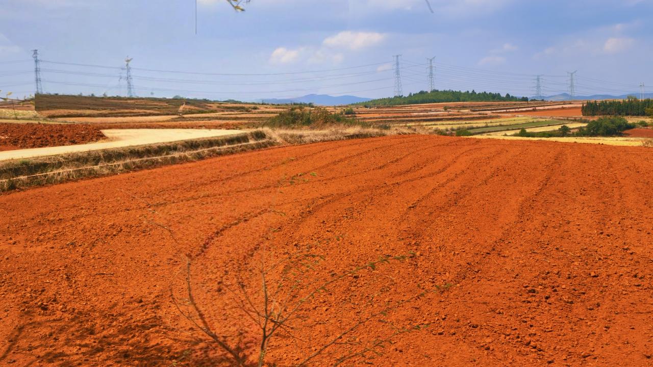 三月仲春，站在这旷野的红土地边，金色的麦子正在收割，翻耤的土地咧着笑脸，准备着播