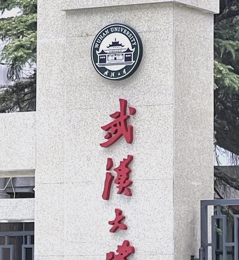 实在是奇葩！武汉大学这事，学校在职老师漠不关心，校领导也不重视。倒是几个退休的老