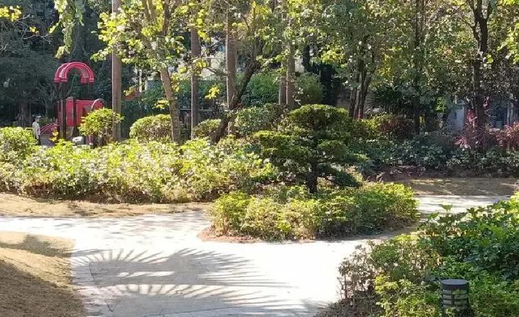 办公室里最近总有那么点不对劲的信号。她第三次把水杯搁我鼠标垫边上，头发撩过我胳膊