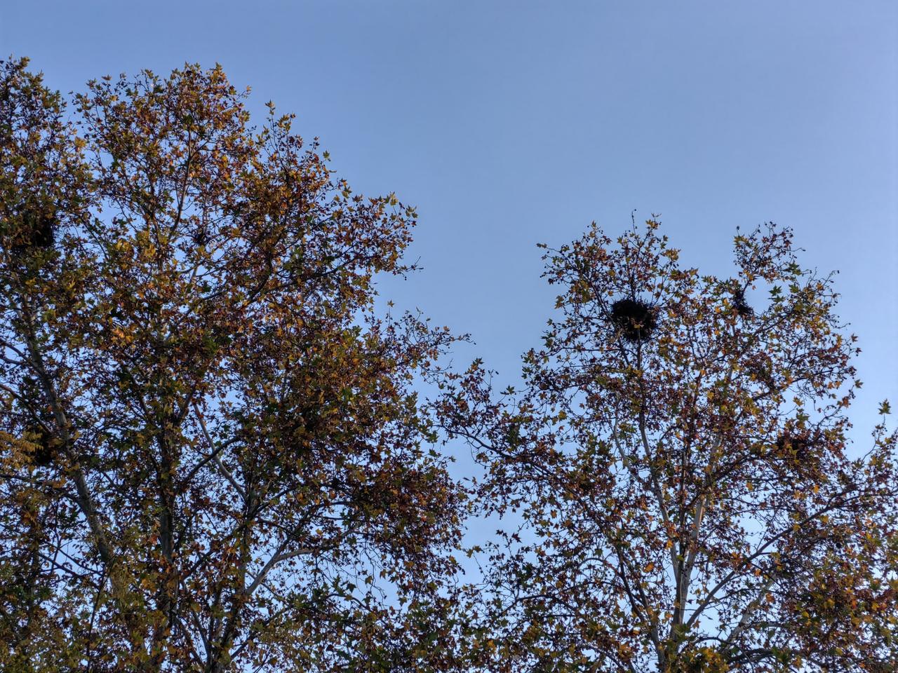 没有钱真的会被亲近的人看不起吗?真的，绝大部分如此，即使父母也会瞧不起自己生养的