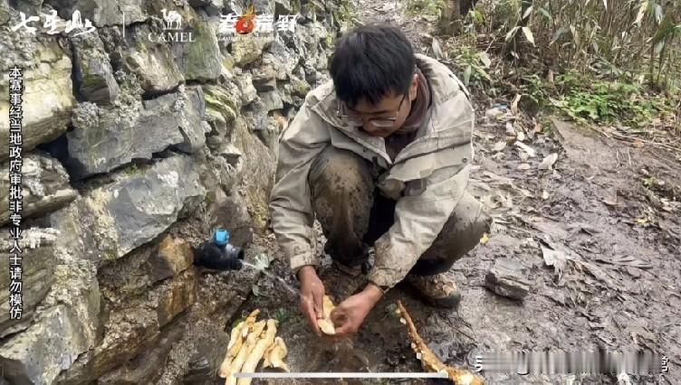荒野求生惊现自来水龙头！到底是真求生还是假套路七星山荒野求生现场，有人蹲在